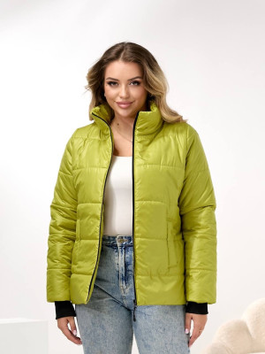 Демисезонная куртка DV-R4432T800