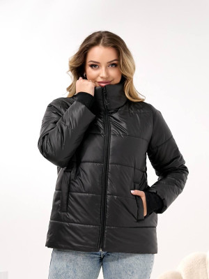 Демисезонная куртка DV-R4432T800