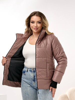 Демисезонная куртка DV-R4432T800