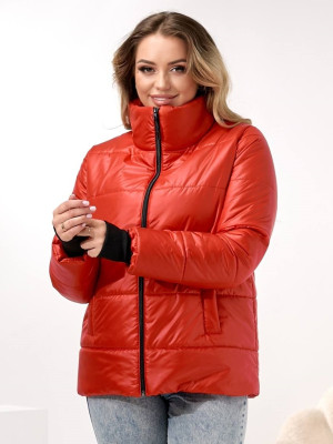 Демисезонная куртка DV-R4432T800