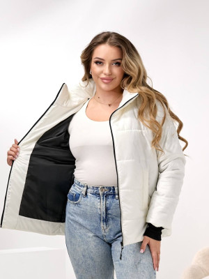 Демисезонная куртка DV-R4432T800