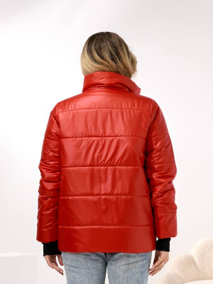 Демисезонная куртка DV-R4432T800