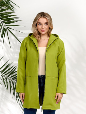 Удлиненное демисезонное пальто DV-R4438T800