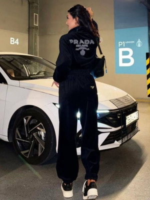 Велюровый спортивный костюм DMP-R1919T900