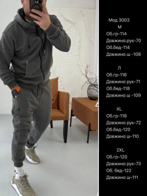 Мужской спортивный костюм MUN-A3003T1399