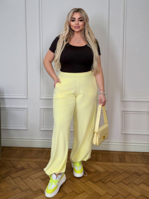 Женские бархатные брюки ELR-A40822T550