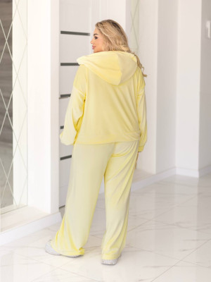 Велюровый спортивный костюм EY-A729T18B21