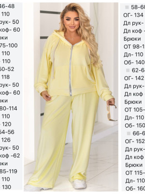 Велюровый спортивный костюм EY-A729T18B21